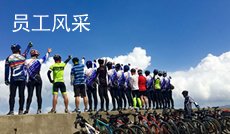 亚美登录